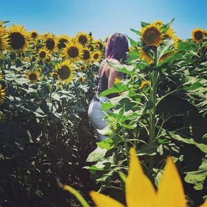 Meet your Posher, Caitlyn